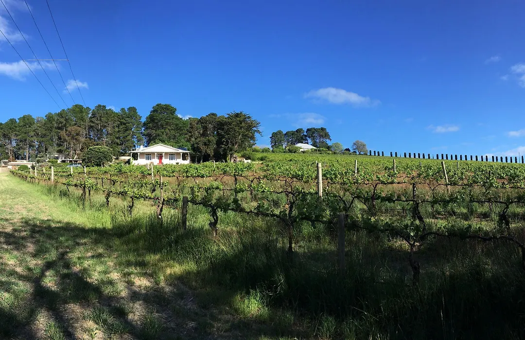 Karawatha Cottages-1